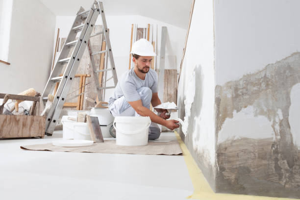 Mold Documentation for Insurance Claims in Red Oak, NC