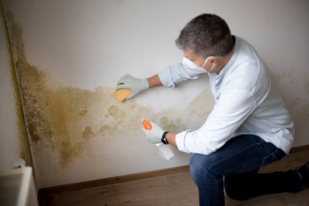 Forensic Mold Investigation in Red Oak, NC
