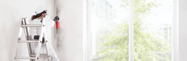 Best Residential Mold Inspection & Testing  in Red Oak, NC