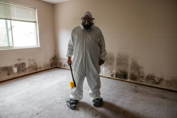 Best Water Damage & Mold Remediation  in Red Oak, NC